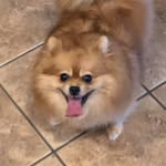 Suzanne Crowell - @crowes01 - Instagram