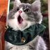 Suzanne Crump - Facebook