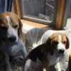 Suzanne Cuthbertson - @suzanne.cuthberts - TikTok