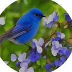 Suzanne Dane - Facebook