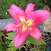 Suzanne Darling - Facebook