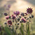 Suzanne Darling - @suzd0508 - Instagram