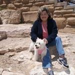 Suzanne Decker - @decker660 - Instagram