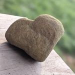 Suzanne Decker Klinger - @szdtrees - Instagram