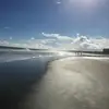 suzannesurendeitz - @suzannesurendeitz - TikTok