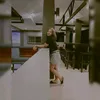 suzanne - @suzannedeleon0 - TikTok