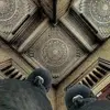 Suzanne DeLuca-Linsinbigler - @suzanne.delucalin - TikTok