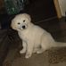 Susanne Doringer - Facebook