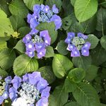 S - @suzanne.digby - Instagram