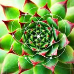 Suzanne Digby - @cre8tivesoul7 - Instagram