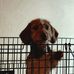 Suzanne Digby-Mccord - Facebook