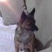 Sisina Divito - Facebook