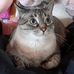 Suzanne K. DeVito - Facebook