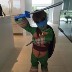 Suzanne Dolan - @suzannedolan9 - Instagram
