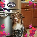 Suzanne Dolan - @suzanne.dolan.12 - Instagram