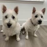 Suzanne Donald - @suzannedonald948 - Instagram