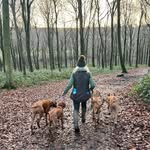 Suzanne Drake - @suzannebd4 - Instagram