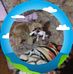 Suzanne Drake - Facebook