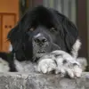 suzannedrake228 - @suzannedrake228 - TikTok