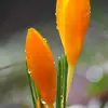 suzannedrenav - @suzannedrenav - TikTok