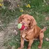 Suzanne Drew - @suzanne.drew - TikTok