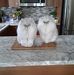 Suzanne Dubuc - Facebook