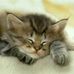 Suzanne Duhamel - Facebook