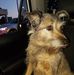 Suzanne DuHamel - Facebook