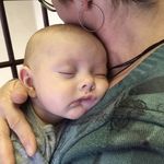 Suzanne Schneider Dunning - @dunningsuzanne - Instagram