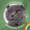 Suzanne Dupuis - @dupuissuzanne - TikTok