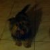 Suzanne Duran - Facebook