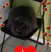 Suzanne Durand - Facebook