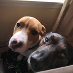 Suzanne Eason - @specialkidz66 - Instagram