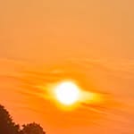 Suzanne Rose Eaves - @suzanneeaves - Instagram