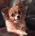 Suzanne Eldridge - Facebook