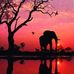 Suzanne Ellison - Facebook