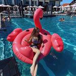 Suzanne Ellison - @suzanneellison43 - Instagram