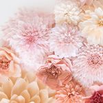 Suzanne Frye-Engel - @the_yummymummy - Instagram