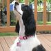 Suzanne Magel Ernst - Facebook