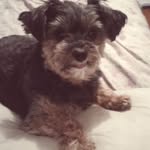 Suzanne Farrell - @suzanne.farrell.98 - Instagram