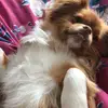 suzannefarrell552 - @suzannefarrell552 - TikTok