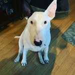 suzanne fehr - @fehr_suzanne - Instagram