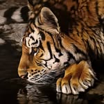 Suzanne Moseley - @suzannemoseley.fineart - Instagram