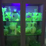 Suzanne Finn - @uraniumglow - Instagram
