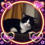 Suzanne Finn Magers - @smagers56 - Instagram