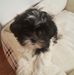 Suzanne Godsick Fishman - Facebook