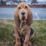 Suzanne Fitch - @suzfi1 - Instagram