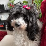 Suzanne Fleischer - @msfleischer63 - Instagram