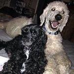 Suzanne  Foote - @foote_suzanne - Instagram