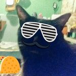 Suzanne C Foote - @imadinosaur101 - Instagram